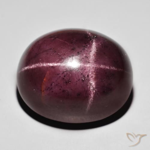88.20ct Natural Rojo oscuro Granate estrella, Ovalada, Opaco