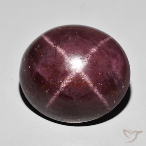 63.04ct Natural Rojo caoba Granate estrella, Ovalada, Opaco