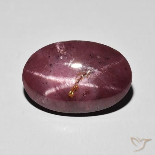 10.84ct Natural Rojo oscuro Granate estrella, Ovalada, Opaco