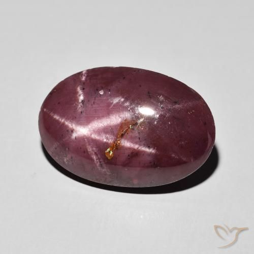 Granate estrella Rojo oscuro natural de 10.84 ct, Ovalada, Opaco