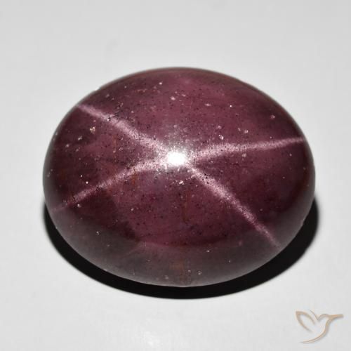 64.50ct Natural Rojo caoba Granate estrella, Ovalada, Opaco