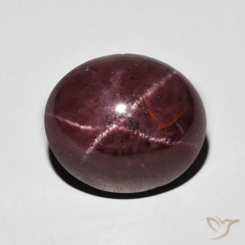 7.95ct Natural Rojo oscuro Granate estrella, Ovalada, Opaco