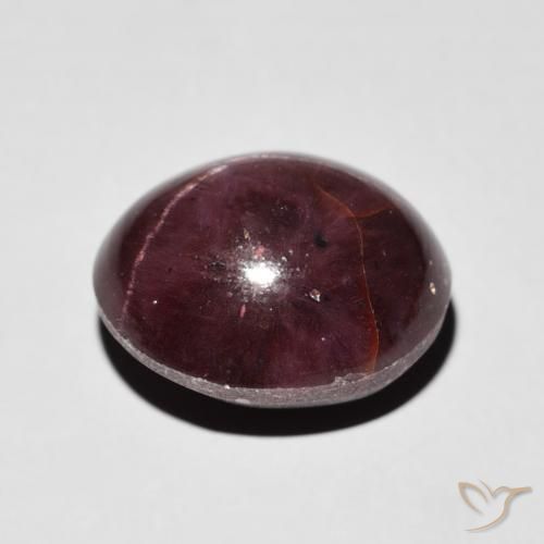 Granate estrella Rojo oscuro natural de 7.95 ct, Ovalada, Opaco