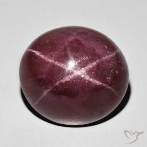 77.87ct Natural Rojo caoba Granate estrella, Ovalada, Opaco