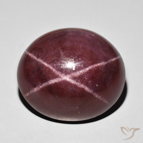 76.64ct Natural Rojo caoba Granate estrella, Ovalada, Opaco