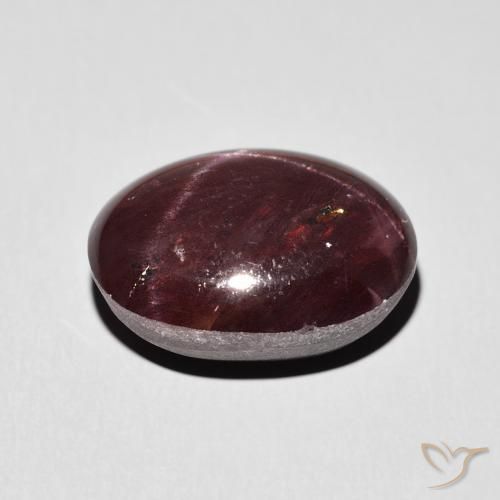 Granate estrella Rojo oscuro natural de 14.27 ct, Ovalada, Opaco