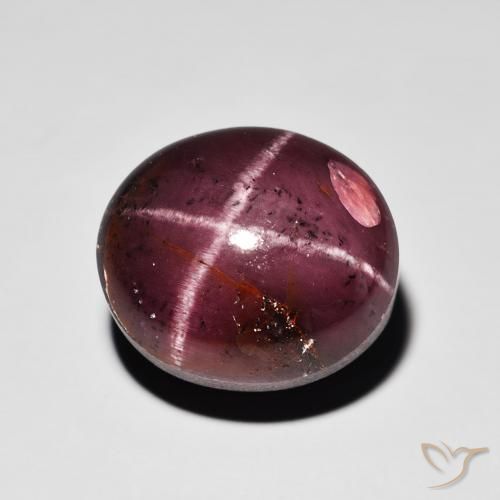 15.64ct Natural Rojo caoba Granate estrella, Ovalada, Opaco