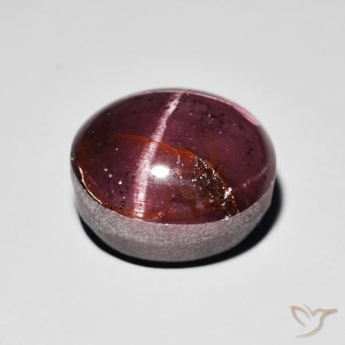 Granate estrella Rojo caoba natural de 15.64 ct, Ovalada, Opaco