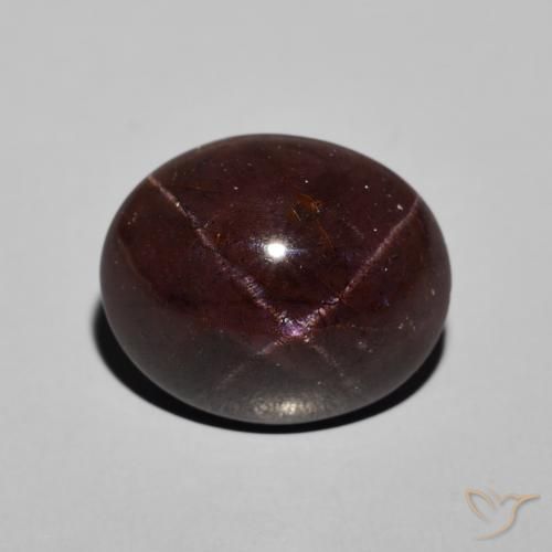 13.31ct Natural Rojo caoba Granate estrella, Ovalada, Opaco