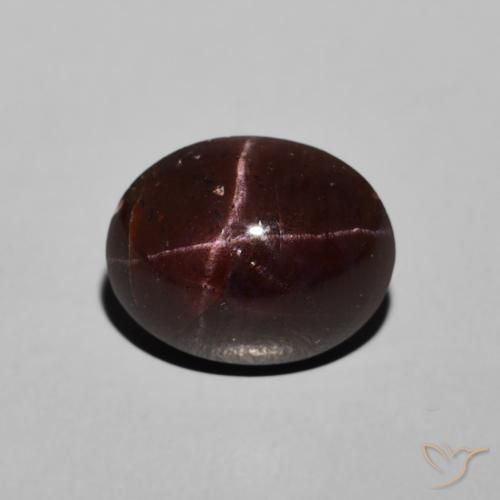 6.48ct Natural Rojo oscuro Granate estrella, Ovalada, Opaco
