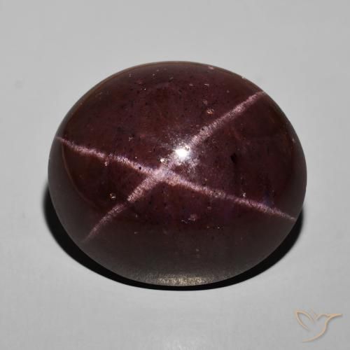 57.92ct Natural Rojo caoba Granate estrella, Ovalada, Opaco