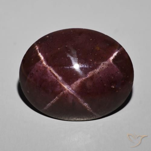 69.04ct Natural Rojo caoba Granate estrella, Ovalada, Opaco