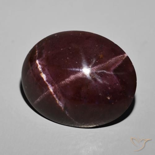 Granate estrella Rojo caoba natural de 69.04 ct, Ovalada, Opaco