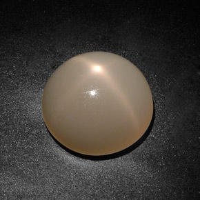 Piedra de luna estrella crema natural de 19,71 ct, transparente, transparente / translúcido
