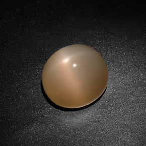 Piedra de luna estrella crema natural de 15,59 ct, transparente, transparente / translúcido