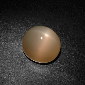 Piedra de luna estrella crema natural de 15,59 ct, transparente, transparente / translúcido