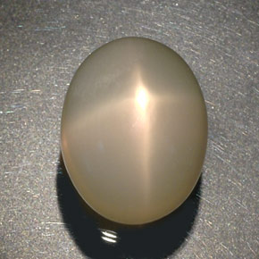 Piedra de luna estrella crema natural de 29,22 ct, transparente, transparente / translúcido