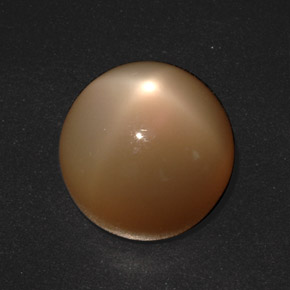 Piedra de luna estrella crema natural de 20,73 ct, corte redondo, translúcido