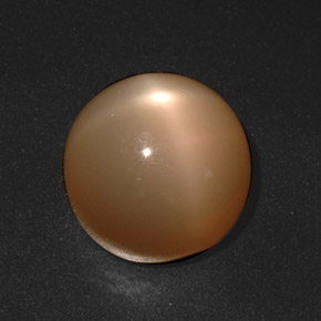 Piedra de luna estrella crema natural de 20,73 ct, corte redondo, translúcido
