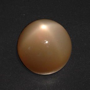 Piedra de luna estrella crema natural de 20,73 ct, corte redondo, translúcido