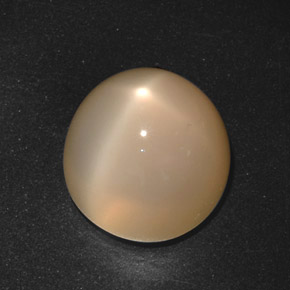 Piedra de luna estrella crema natural de 21,40 ct, corte redondo, translúcido