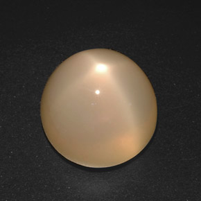 Piedra de luna estrella crema natural de 21,40 ct, corte redondo, translúcido