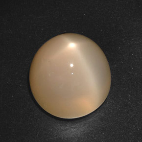 Piedra de luna estrella crema natural de 21,40 ct, corte redondo, translúcido