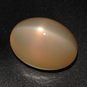 Piedra de luna estrella naranja natural de 22,59 ct, corte óvalo, translúcido
