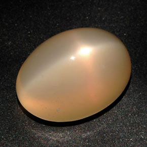 Piedra de luna estrella naranja natural de 22,59 ct, corte óvalo, translúcido
