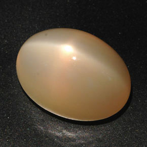 Piedra de luna estrella naranja natural de 22,59 ct, corte óvalo, translúcido