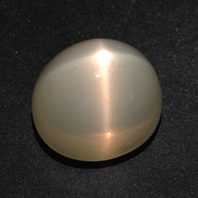 Piedra lunar estrella Crema natural de 14.28 ct, Corte Óvalo, Translúcido