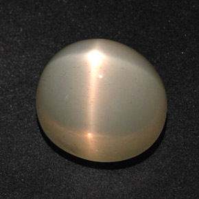 Piedra lunar estrella Crema natural de 14.28 ct, Corte Óvalo, Translúcido