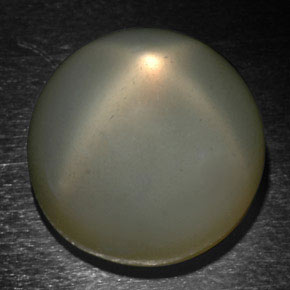 Piedra de luna estrella gris natural de 24,37 ct, corte redondo, translúcido