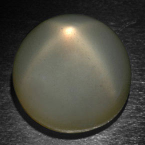 Piedra de luna estrella gris natural de 24,37 ct, corte redondo, translúcido