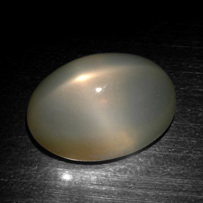 Piedra de luna estrella gris natural de 18,57 ct, corte óvalo, translúcido