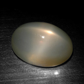Piedra de luna estrella gris natural de 18,57 ct, corte óvalo, translúcido