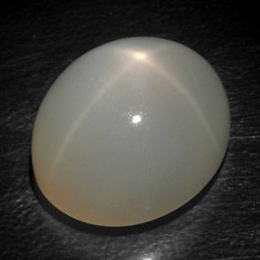 Piedra de luna estrella gris natural de 15,93 ct, corte óvalo, translúcido