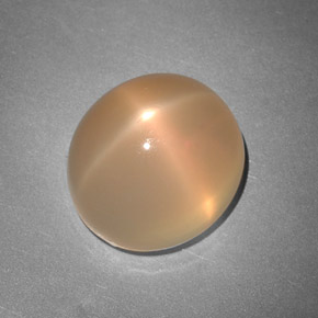 Piedra de luna estrella naranja natural de 7,48 ct, transparente, transparente / translúcido