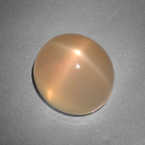 Piedra de luna estrella naranja natural de 7,48 ct, transparente, transparente / translúcido