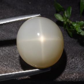 Piedra de luna estrella crema natural de 10,60 ct, corte óvalo, translúcido