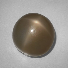 Piedra de luna estrella ahumado natural de 14,61 ct, corte redondo, translúcido