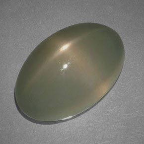 Piedra lunar estrella Humo natural de 17.69 ct, Corte Óvalo, Translúcido