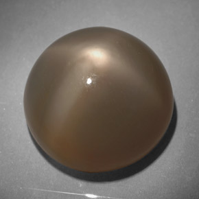 Piedra de luna estrella gris natural de 18,64 ct, corte redondo, translúcido