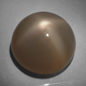 Piedra de luna estrella gris natural de 18,64 ct, corte redondo, translúcido