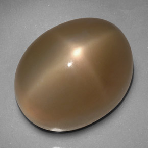 Piedra de luna estrella gris natural de 33,24 ct, transparente, transparente / translúcido