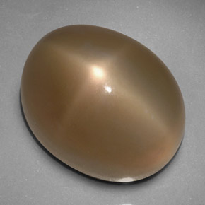 Piedra de luna estrella gris natural de 33,24 ct, transparente, transparente / translúcido