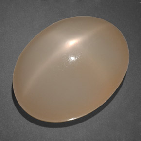 Piedra de luna estrella naranja natural de 19,69 ct, transparente, transparente / translúcido