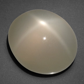 Piedra de luna estrella crema natural de 20,40 ct, transparente, transparente / translúcido