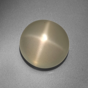 Piedra de luna estrella crema natural de 13,66 ct, corte redondo, translúcido