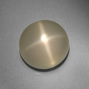 Piedra de luna estrella crema natural de 13,66 ct, corte redondo, translúcido